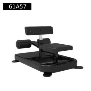 Sissy squat combination trainer