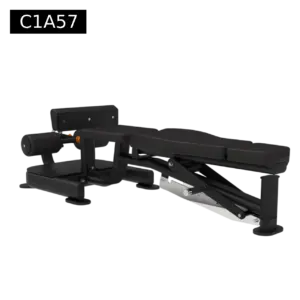 Sissy squat combination