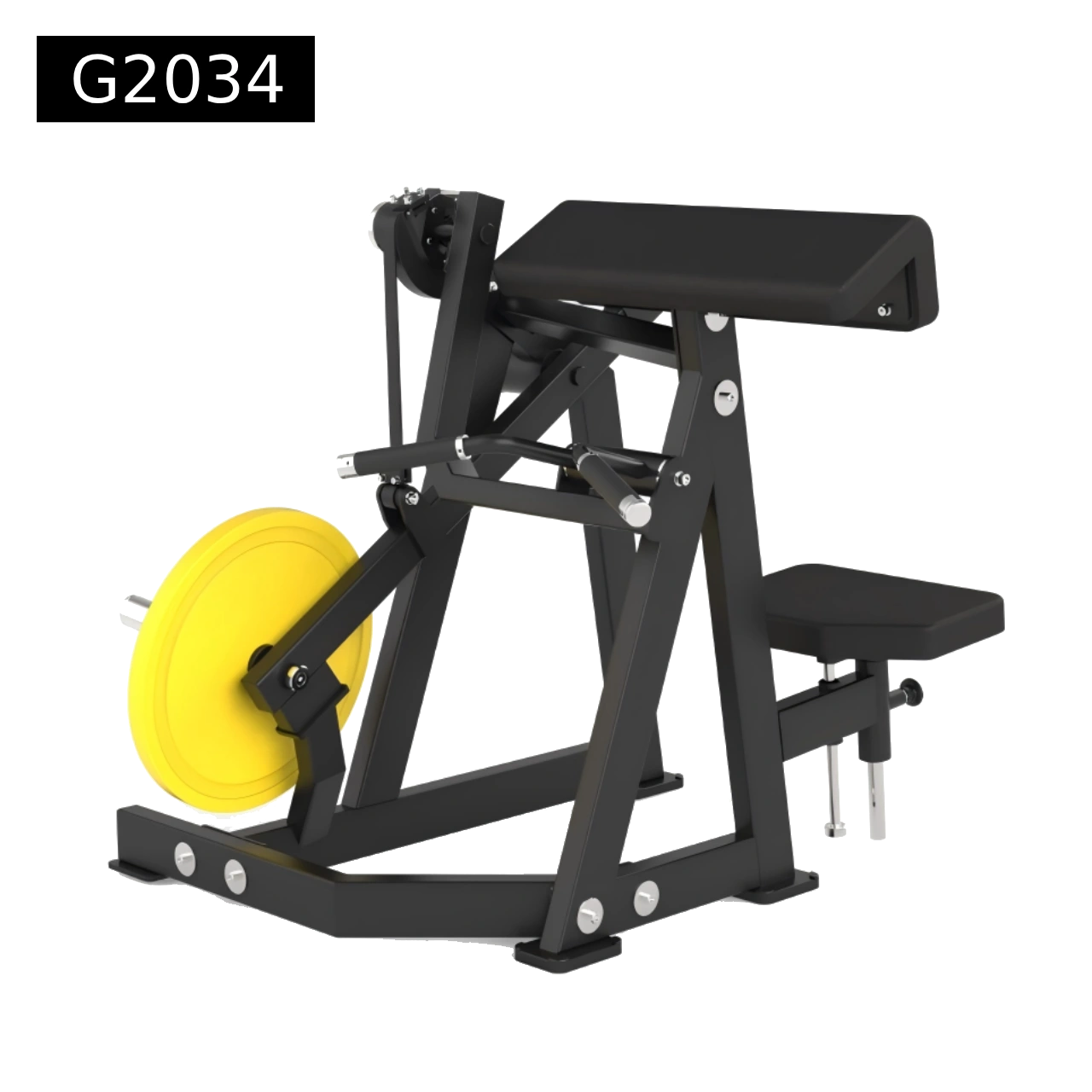 Plate loaded bicep curls