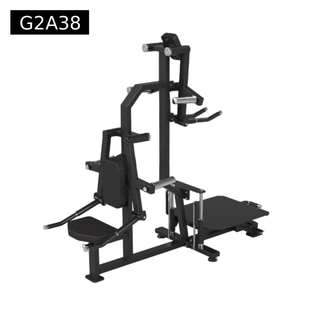 2 in 1 Standing lateral raise - Seated lateral raise - Elite Fitness ...