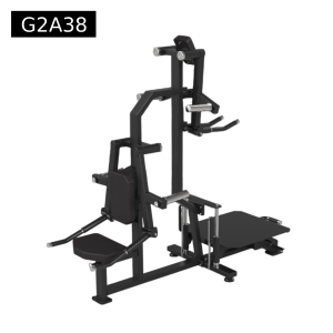 2 in 1 Standing lateral raise - Seated lateral raise