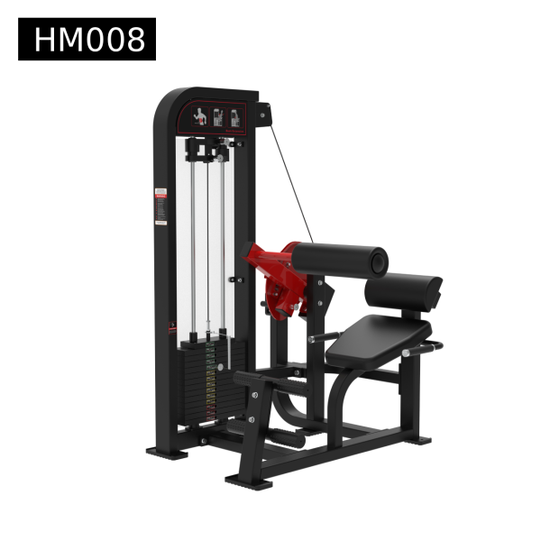 Back extension - Elite Fitness Supply Thailand - Commercial Gym ...