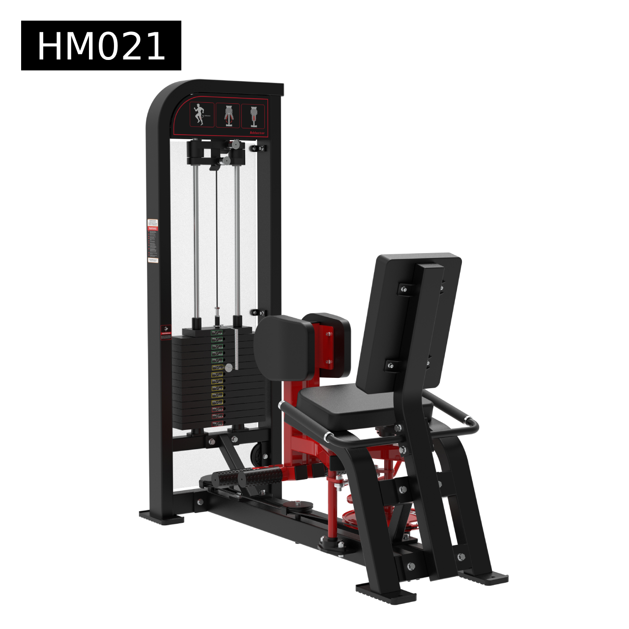 Hip adductor (inner thigh)