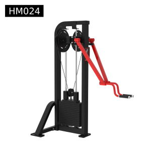 Standing lateral raise