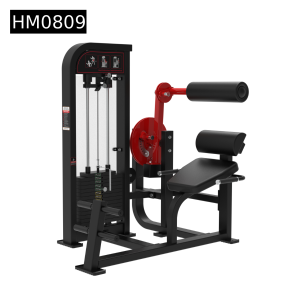 Back extension and Abdominal