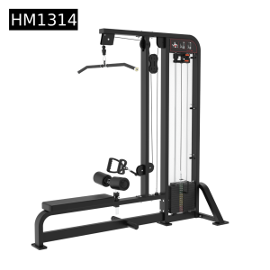 Lat Pulldown & Low Row