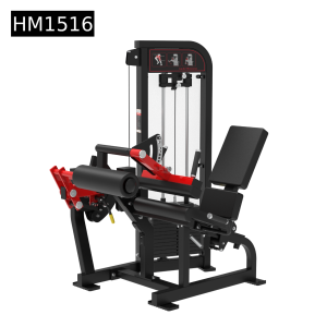 2 in 1 Leg curl – Leg extension