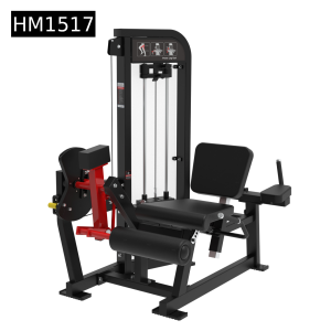 2-in-1 leg extension–lying leg curl