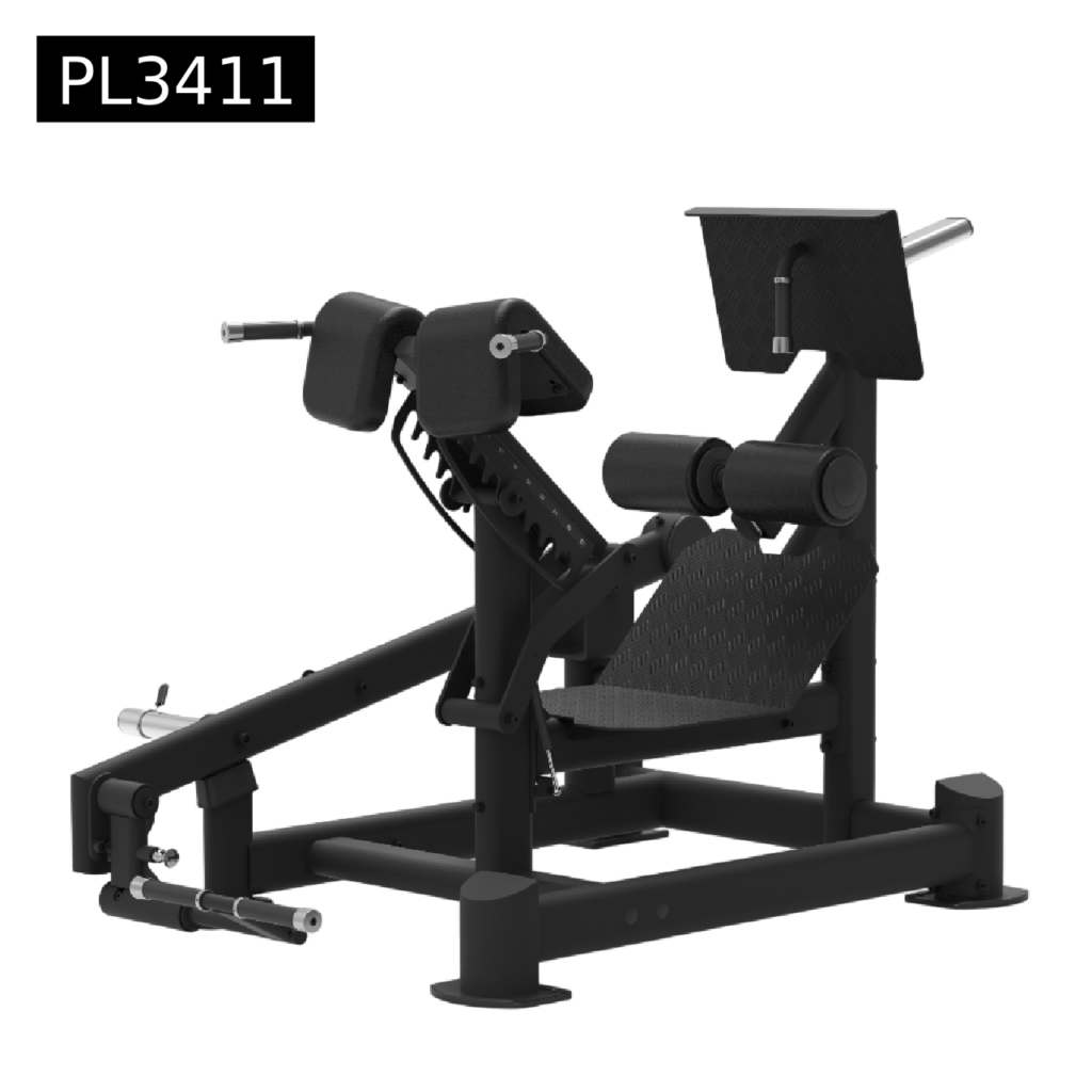 Dual Back Extension - Elite Fitness Supply Thailand - Commercial Gym ...