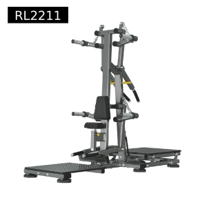 2 in 1 Standing lateral raise - Rear delt raise
