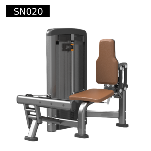 Seated calf extension