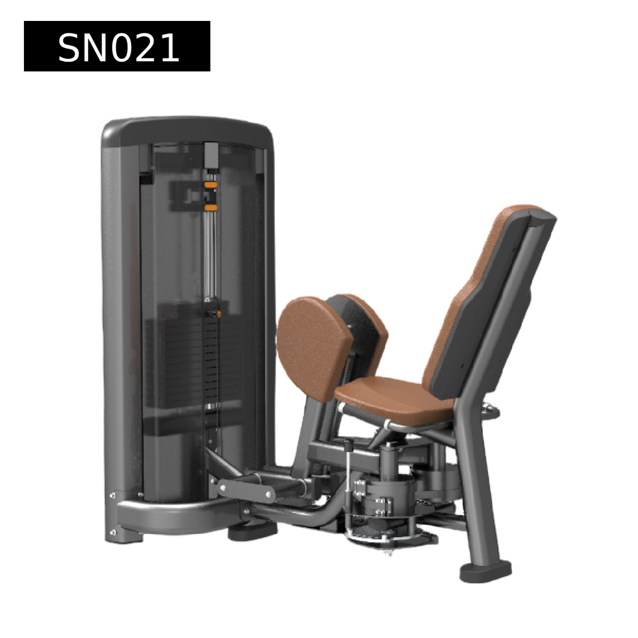 Hip Adductor (inner thigh)