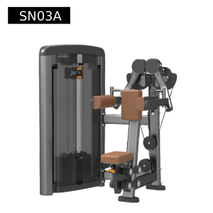 Seated lateral raise
