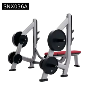 Olympic bench with weight storage