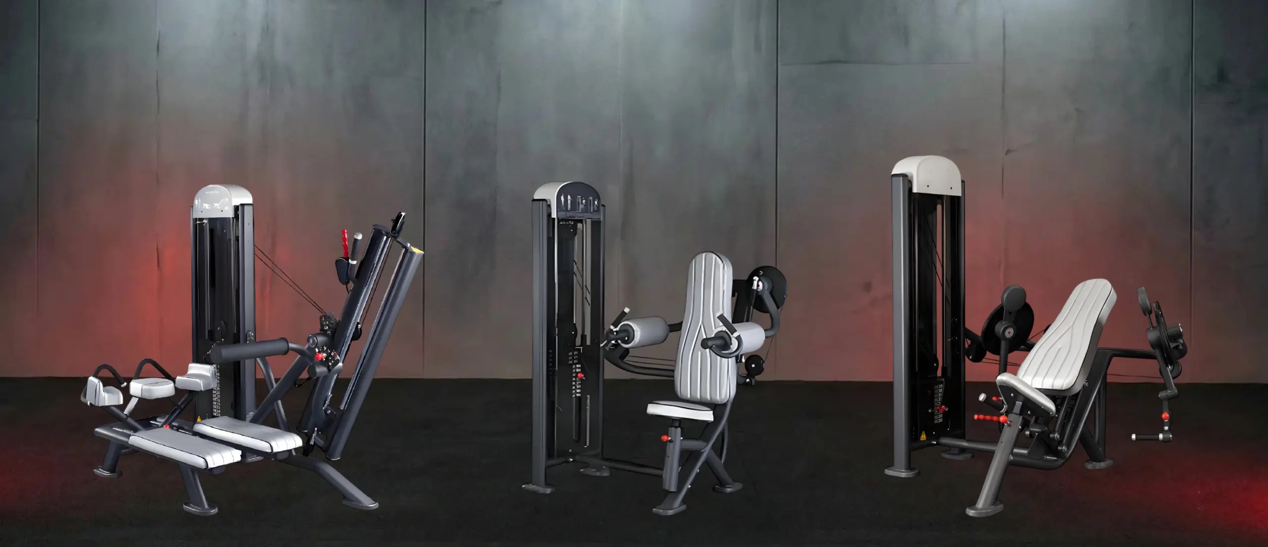 Untitled image (13) Untitled image 13 scaled