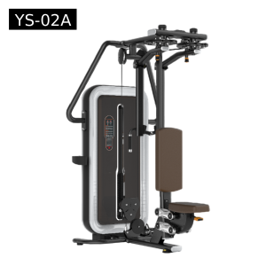 Pec deck fly - Rear deltoid