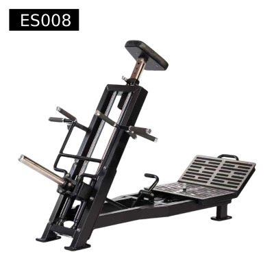 ES008 1