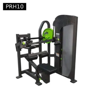 Tricep dips machine