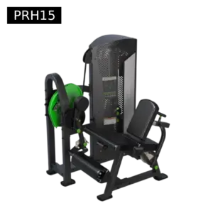 2 in 1 Leg Extension