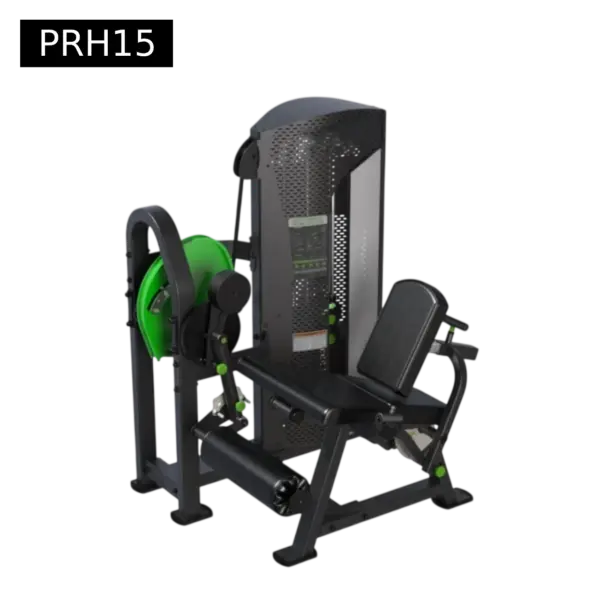 2 in 1 Leg Extension - Leg Curl - Elite Fitness Supply Thailand ...