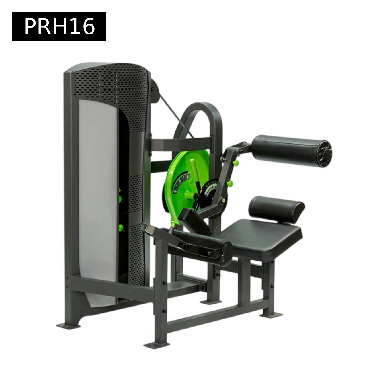 Low Back Extension 1 Low Back Extension