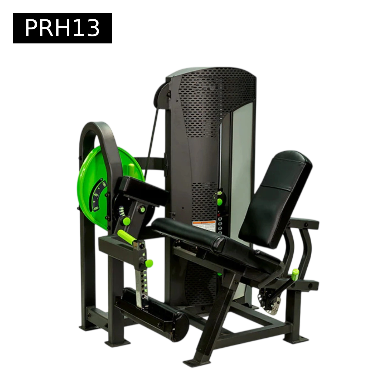 Leg extension 1 Leg extension