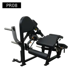 2 in 1 Leg Curl - Leg Extension