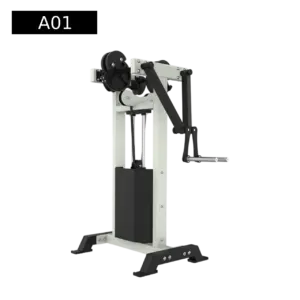 Standing Lateral Raise