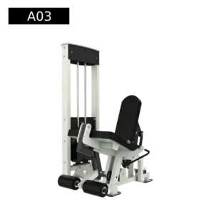 Leg Extension