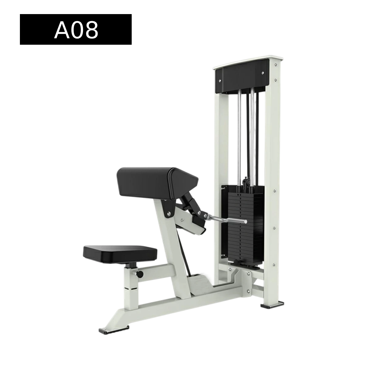 Bicep Preacher Curl 1 Bicep Preacher Curl