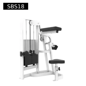 Abdominal Crunch