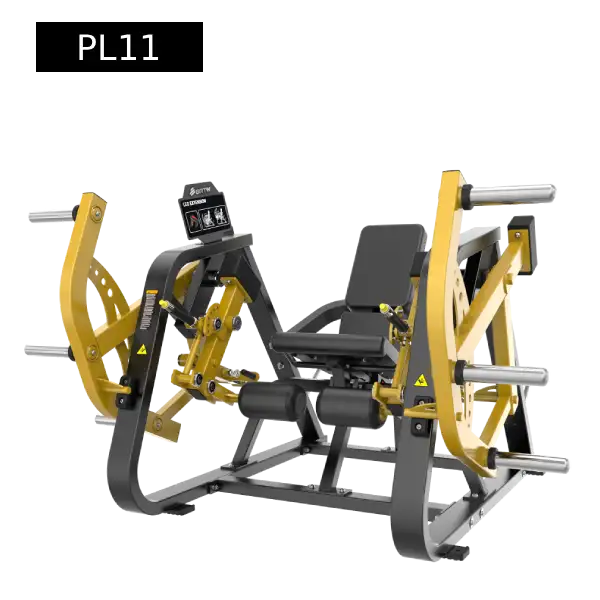 Leg extension 1 Leg extension